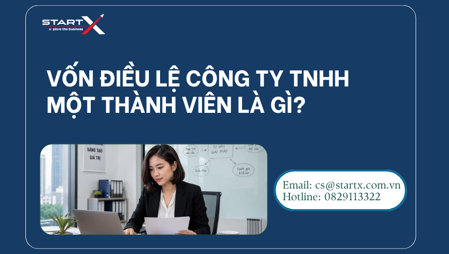 Vốn điều lệ công ty tnhh 1 thành viên là gì?